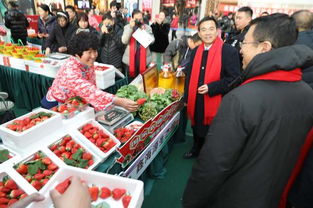 2019大連草莓文化旅游節暨農業產品博覽會開幕