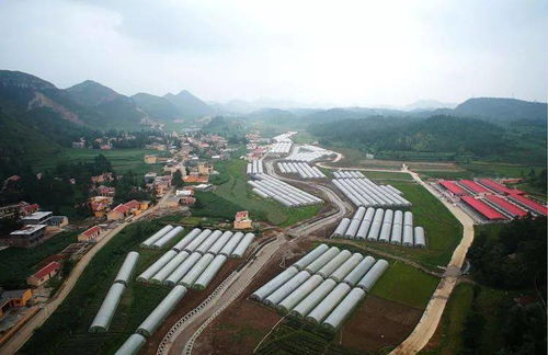 山海相連共筑夢(mèng)——大連產(chǎn)業(yè)助力六盤水脫貧攻堅(jiān)紀(jì)實(shí)